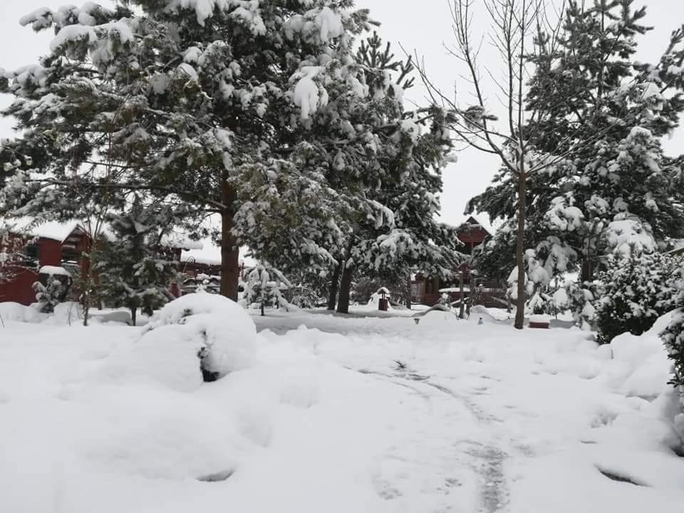 Pensiunea Perla Neamtului Minastirea Neamt Exterior foto
